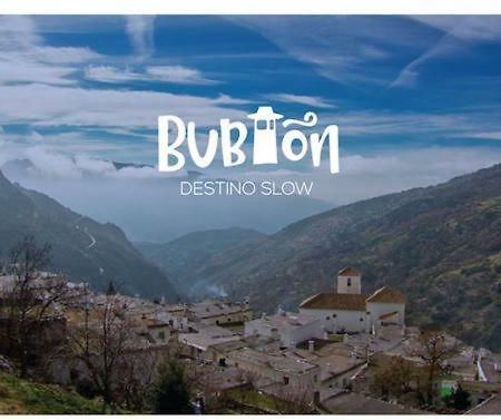 דירות Bubion. Alpujarra Granadina מראה חיצוני תמונה